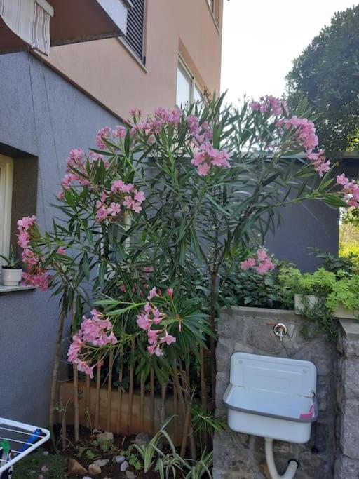 Apartman Modric Draga Mošćenička Draga エクステリア 写真