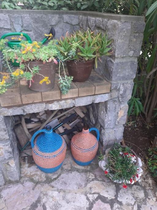 Apartman Modric Draga Mošćenička Draga エクステリア 写真